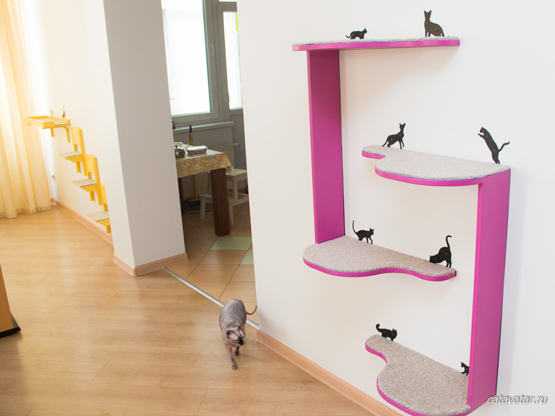 Дом для кошки. Дом для кота. Когтеточка купить. Комплексы для кошек. Мебель для кошек.